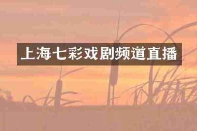 上海七彩戏剧频道直播