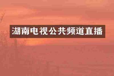 湖南电视公共频道直播