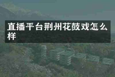 直播平台荆州花鼓戏怎么样
