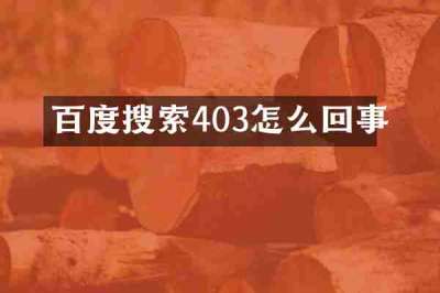 百度搜索403怎么回事