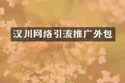 汉川网络引流推广外包