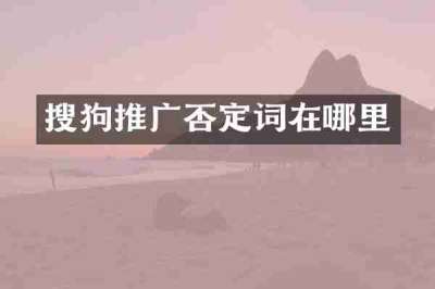搜狗推广否定词在哪里