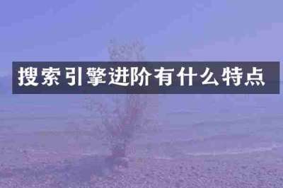 搜索引擎进阶有什么特点