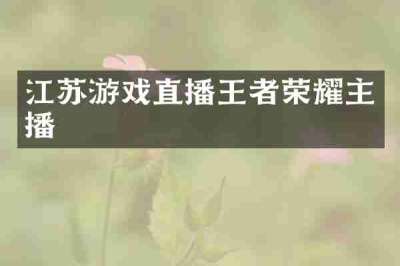 江苏游戏直播王者荣耀主播