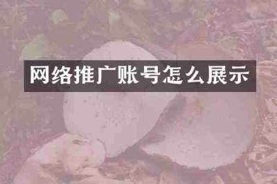 网络推广账号怎么展示