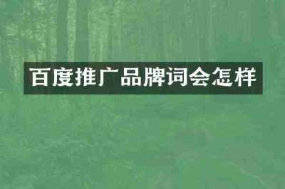 百度推广品牌词会怎样