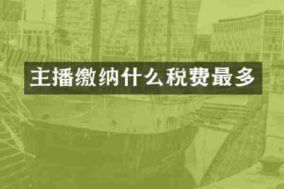 主播缴纳什么税费最多