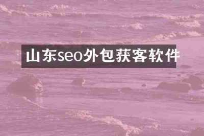 山东seo外包获客软件