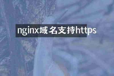 nginx域名支持https