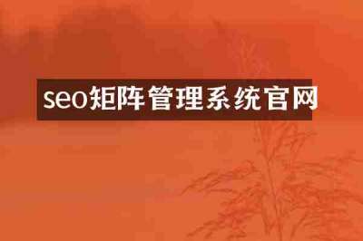 seo矩阵管理系统官网