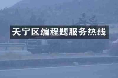 天宁区编程题服务热线