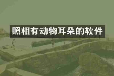 照相有动物耳朵的软件