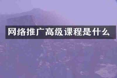 网络推广高级课程是什么