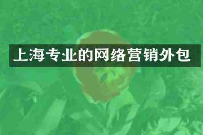 上海专业的网络营销外包