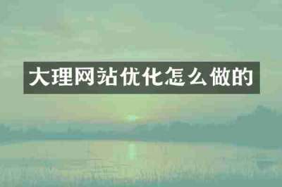 大理网站优化怎么做的