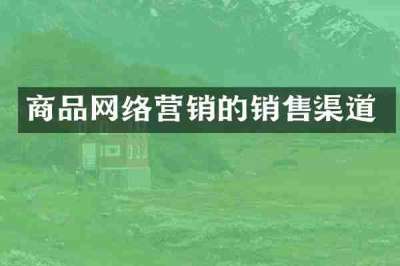 商品网络营销的销售渠道