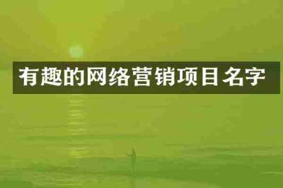 有趣的网络营销项目名字