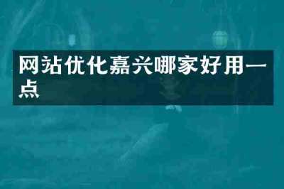 网站优化嘉兴哪家好用一点