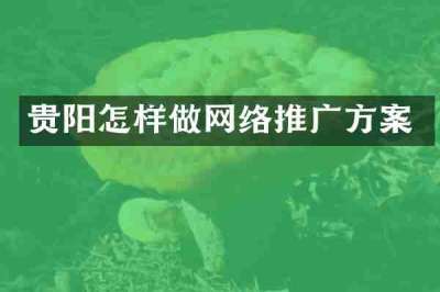 贵阳怎样做网络推广方案