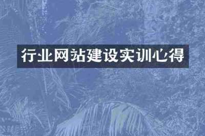 行业网站建设实训心得