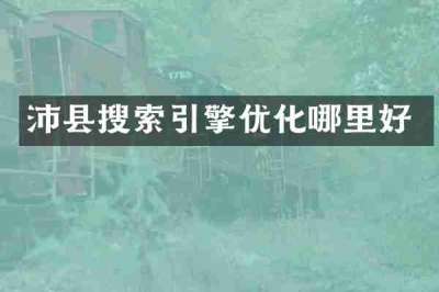 沛县搜索引擎优化哪里好