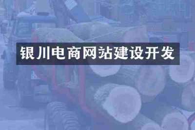 银川电商网站建设开发