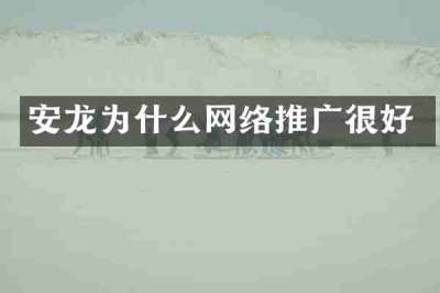 安龙为什么网络推广很好