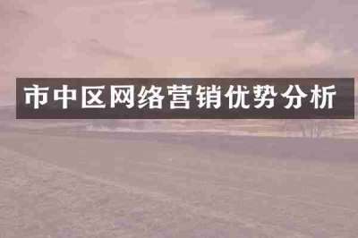市中区网络营销优势分析