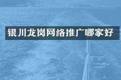 银川龙岗网络推广哪家好