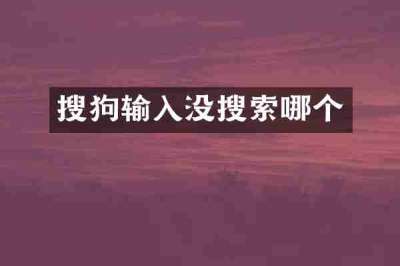 搜狗输入没搜索哪个