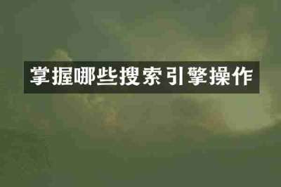 掌握哪些搜索引擎操作