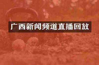 广西新闻频道直播回放