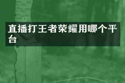 直播打王者荣耀用哪个平台