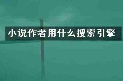 小说作者用什么搜索引擎