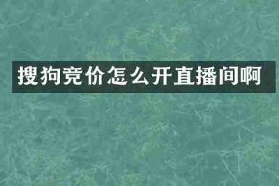 搜狗竞价怎么开直播间啊
