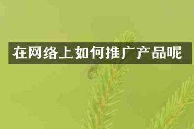在网络上如何推广产品呢