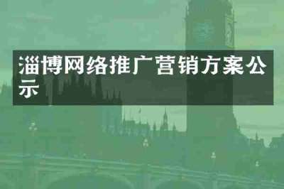 淄博网络推广营销方案公示