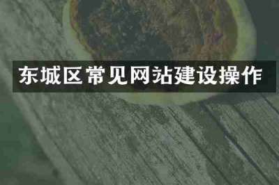 东城区常见网站建设操作
