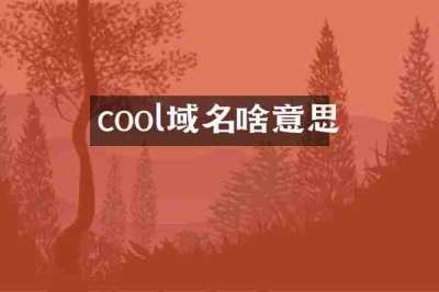 cool域名啥意思