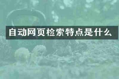 自动网页检索特点是什么