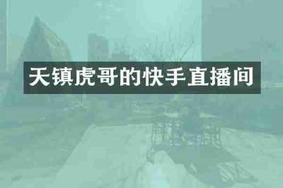 天镇虎哥的快手直播间
