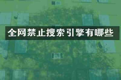 全网禁止搜索引擎有哪些