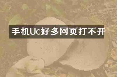 手机Uc好多网页打不开