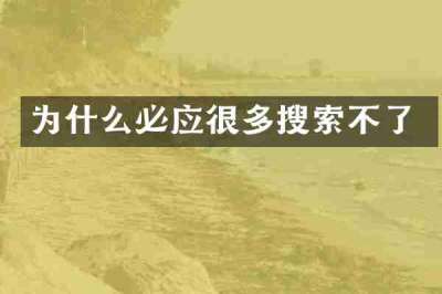 为什么必应很多搜索不了