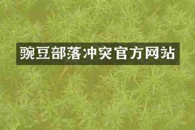 豌豆部落冲突官方网站