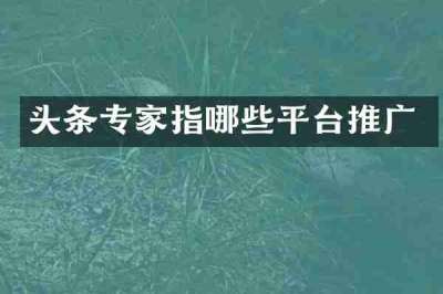 头条专家指哪些平台推广