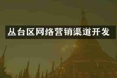 丛台区网络营销渠道开发