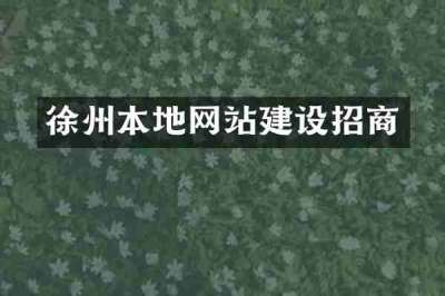 徐州本地网站建设招商