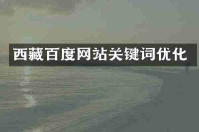 西藏百度网站关键词优化