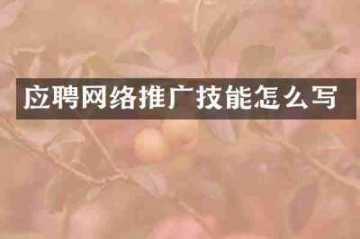 应聘网络推广技能怎么写